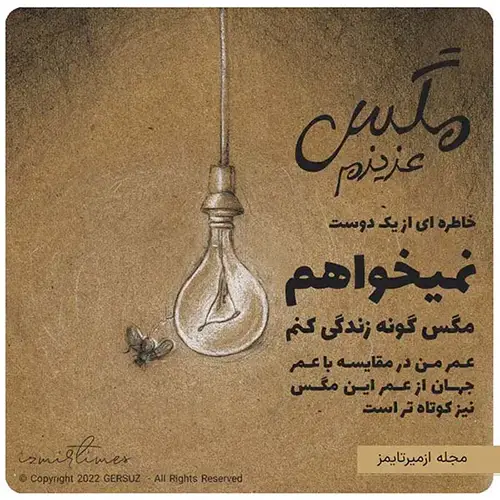 مگس عزیزم خاطره ای از یک دوست